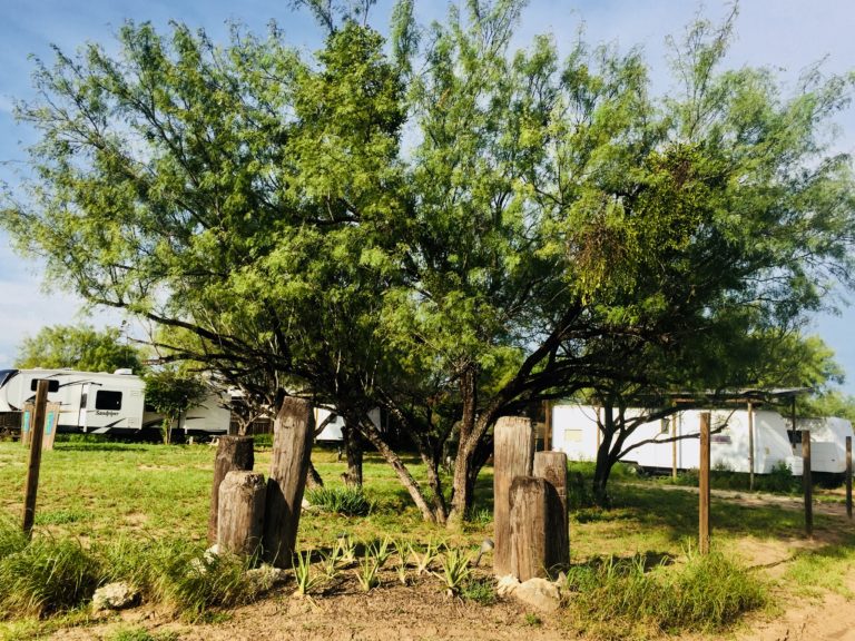 EZ RV Park 7980 N. Hwy 83 Carrizo Springs, TX (830) 3742720 (Crystal